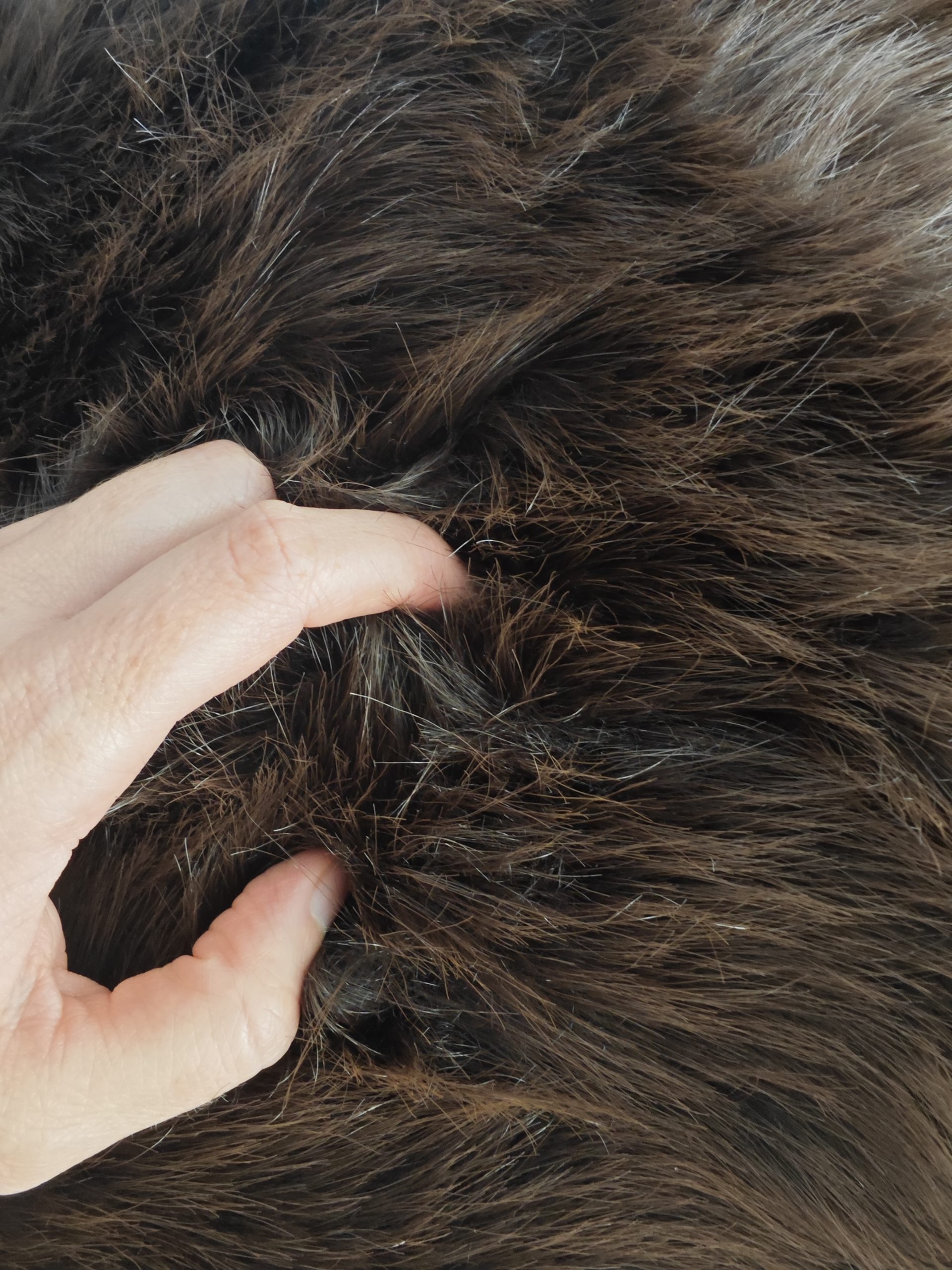 ESTOLA DE PELO - Imagen 3